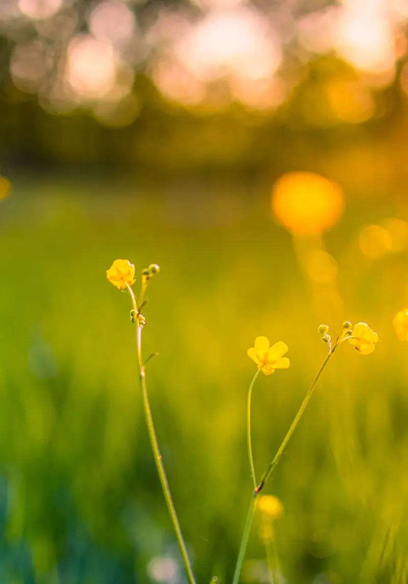 July Monthly Market Recap 2026